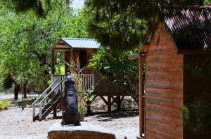 carrick hill 2014 (10)